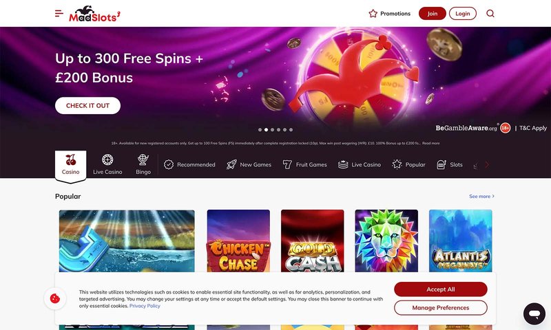 Learn about madslots casino
